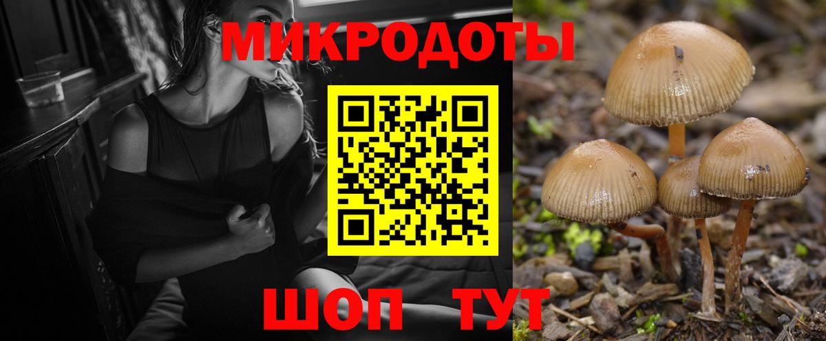 Северск  Псилоцибиновые грибы Magic Shrooms  Вход с VPN 